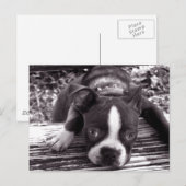 Blokkaartje voor de grote Boston Briefkaart (Voorkant / Achterkant)