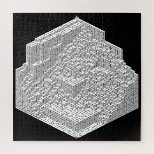 Blokken Maze Puzzle Legpuzzel