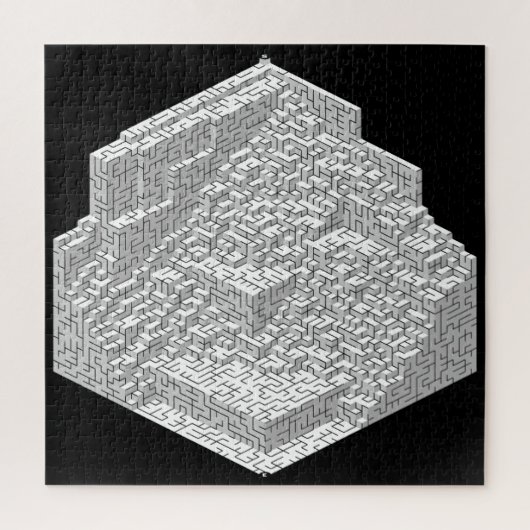 Blokken Maze Puzzle Legpuzzel (Verticaal)