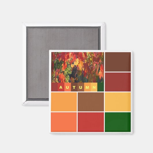 Blokken najaarkleuren magneet (Voorkant / Achterkant)