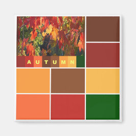 Blokken najaarkleuren magneet