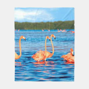 Blokken van mooie roze flamingos in de Celestun Fleece Deken