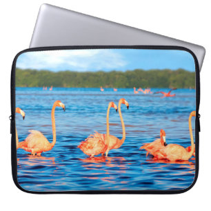 Blokken van mooie roze flamingos in de Celestun Laptop Sleeve