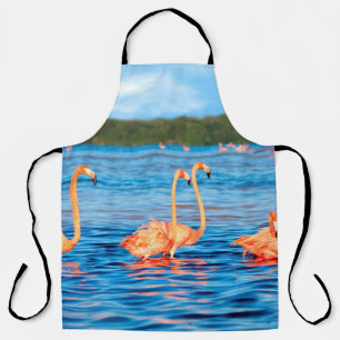 Blokken van mooie roze flamingos in de Celestun Schort