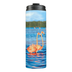 Blokken van mooie roze flamingos in de Celestun Thermosbeker