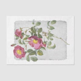 Blokkeren papier voor 45-roze losbandige pagina's