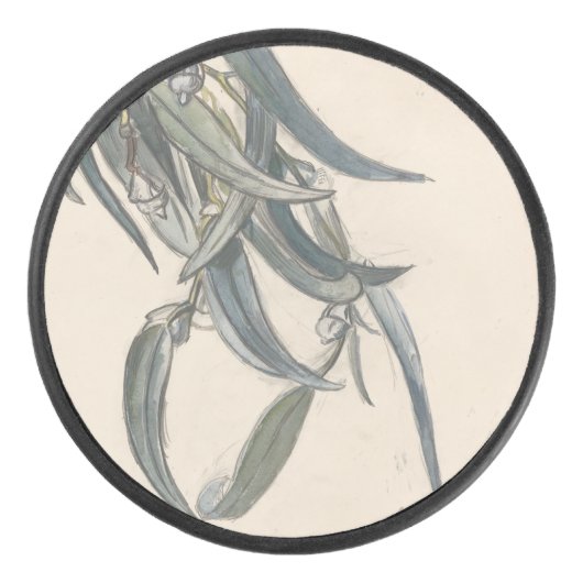 Blokkeren van een eucalyptus hockey puck (Voorkant)