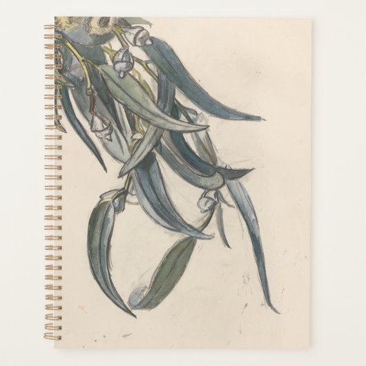 Blokkeren van een eucalyptus planner (Voorkant)