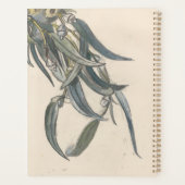 Blokkeren van een eucalyptus planner (Achterkant)