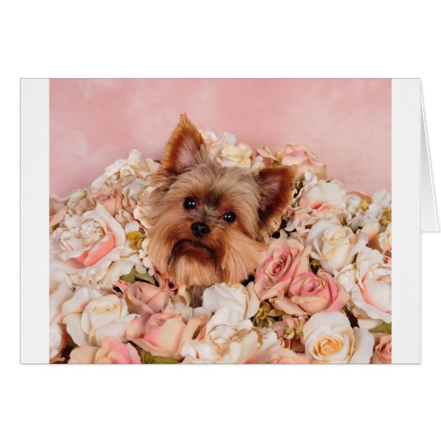 Blokkering (Voorkant Horizontaal)