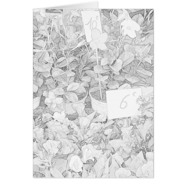 Blokkering van de markt (Voorkant)