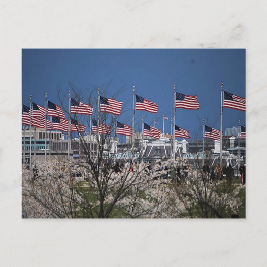 Blokkering van de vlaggen om kapitaalredenen briefkaart (Voorkant)