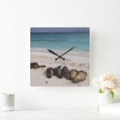 Blokkering Vierkante Klok (Huis)