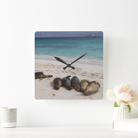 Blokkering Vierkante Klok (Huis)