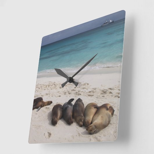 Blokkering Vierkante Klok (Hoek)