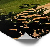 Blomidin, Nova Scotia, Canada Poster (Hoek)