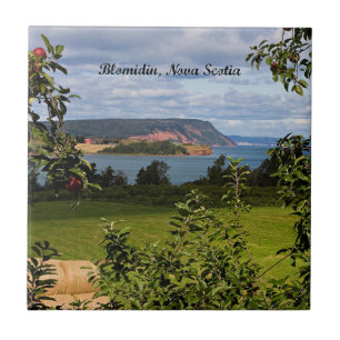 Blomidin, Nova Scotia, Canada Tegeltje