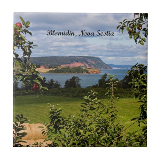Blomidin, Nova Scotia, Canada Tegeltje (Voorkant)