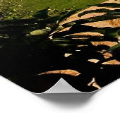 Blomidin, Nova Scotia Poster (Hoek)