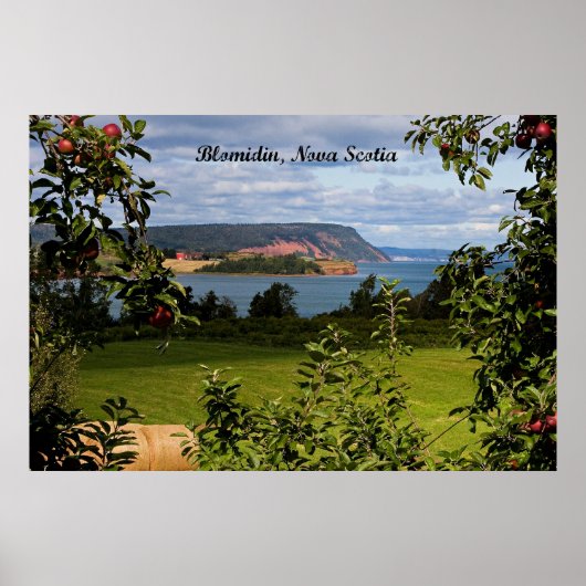 Blomidin, Nova Scotia Poster (Voorkant)