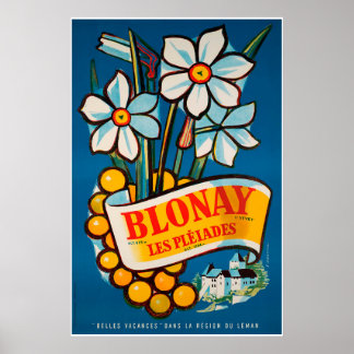 Blonay, Les Pléiades, Zwitserland,Reisposter Poster