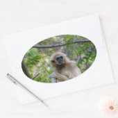 Blond Gibbon Aap - Hylobates lar Ovale Sticker (Envelop)