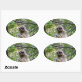 Blond Gibbon Aap - Hylobates lar Ovale Sticker (Vel)