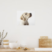 Blond labrador puppy die tong uitsteekt poster (Keuken)