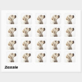 Blond labrador puppy die tong uitsteekt vierkante sticker (Vel)