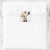 Blond labrador puppy die tong uitsteekt vierkante sticker (Tas)