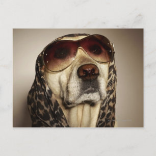 Blond Labrador Retriever met zonnebril Briefkaart