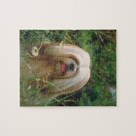 Blond Lhasa Apso Dog Puzzle Legpuzzel (Horizontaal)