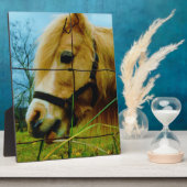 Blond miniatuur Pony/Horse Blue Sky Fotoplaat (Zijkant)