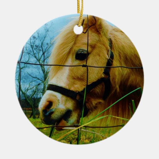 Blond miniatuur Pony/Horse Blue Sky Keramisch Ornament (Voorkant)