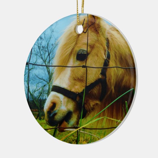 Blond miniatuur Pony/Horse Blue Sky Keramisch Ornament (Links)