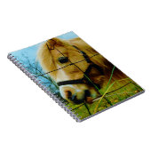 Blond miniatuur Pony/Horse Blue Sky Notitieboek (Rechterzijde)