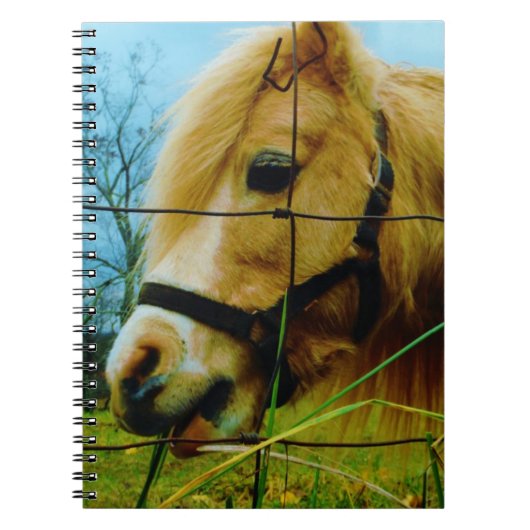 Blond miniatuur Pony/Horse Blue Sky Notitieboek (Voorkant)