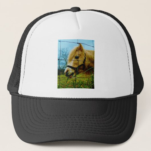 Blond miniatuur Pony/Horse Blue Sky Trucker Pet (Voorkant)