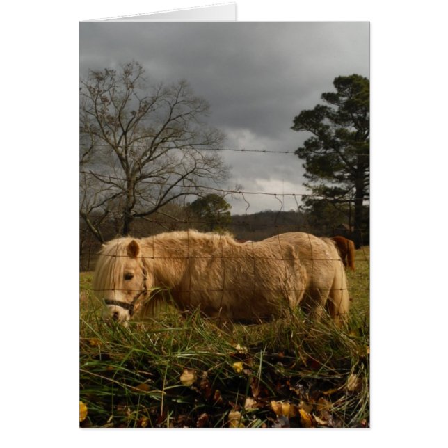 Blond miniatuur Pony/paard (Voorkant)