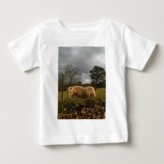 Blond miniatuur Pony/paard (Voorkant)