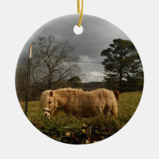 Blond miniatuur Pony/paard Keramisch Ornament (Voorkant)