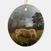 Blond miniatuur Pony/paard Keramisch Ornament (Links)