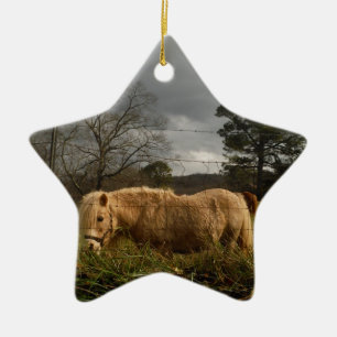 Blond miniatuur Pony/paard Keramisch Ornament