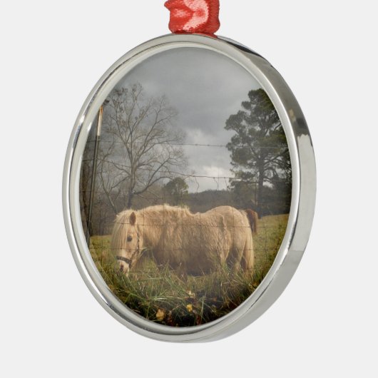 Blond miniatuur Pony/paard Metalen Ornament (Links)