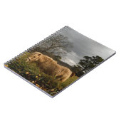 Blond miniatuur Pony/paard Notitieboek (Linkerzijde)