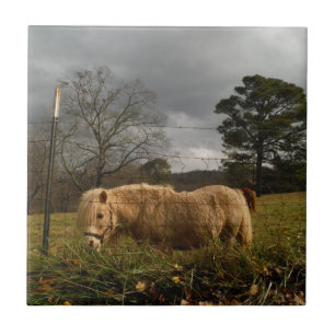 Blond miniatuur Pony/paard Tegeltje