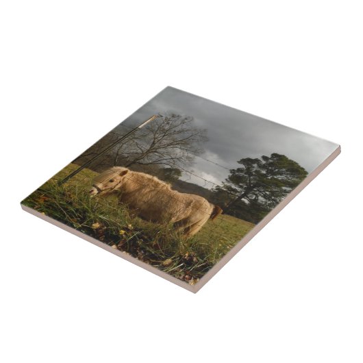 Blond miniatuur Pony/paard Tegeltje (Zijkant)