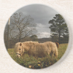 Blond miniatuur Pony/paard Zandsteen Onderzetter