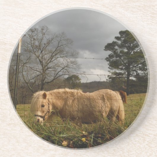 Blond miniatuur Pony/paard Zandsteen Onderzetter (Voorkant)