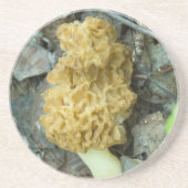 Blond Morel Mushroom Zandsteen Onderzetter (Voorkant)